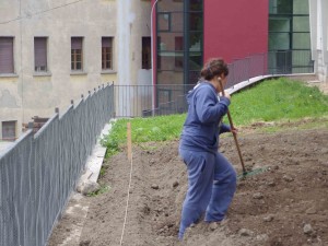 preparazione aiuole 2