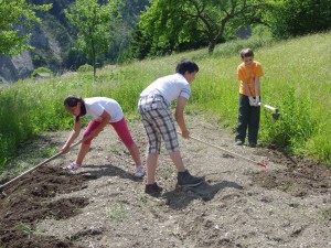 preparazione campo 5