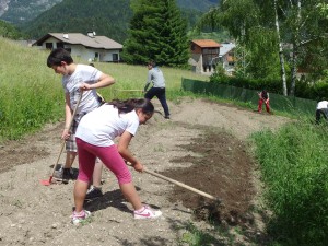 preparazione campo 6