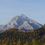IMGP0579