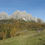 IMGP0581