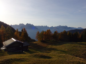 IMGP0584